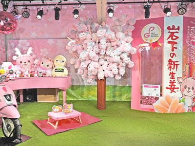 イベントステージに「岩下の新生姜アルパカ桜」が今年も登場