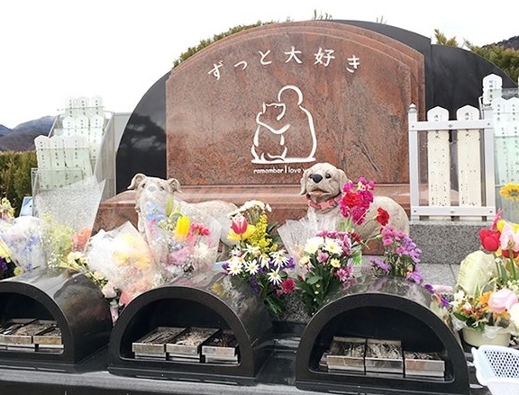 ペットのお迎え個別火葬サービス、お迎え可能エリアを3府県27市町村に