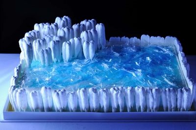 458yMGiFRSnC7oLSigq9.jpg?w=940&h=940