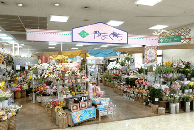 45npUfgQ2RZm79mKsuYB.png?w=940&h=940