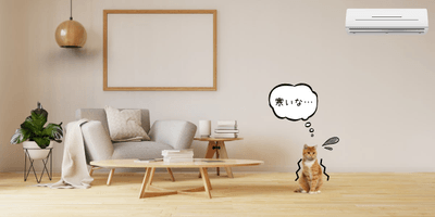 49VFFnuZlM16DUtIgryx.png?w=940&h=940