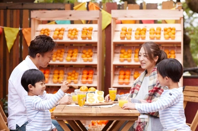 49kNF4Ry0bjw4LgyRJMC.jpg?w=940&h=940