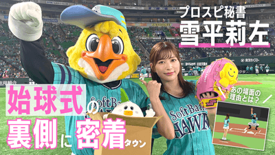 4AVRb23sVhhYZaRs51eq.png?w=940&h=940