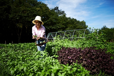 4Am3VMB9BDyjFKjhUmos.jpg?w=940&h=940