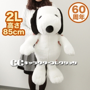 4DGMeIXTzip8JqFSWUEm.jpg?w=940&h=940