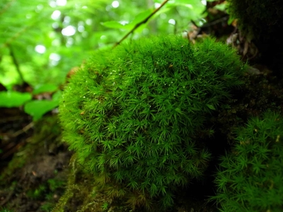 4EA8HznUrejo8FDhTQZ7.jpg?w=940&h=940