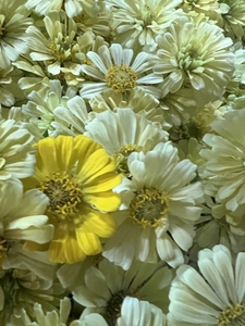 4EPsV4hVLNK9x6T2Kr48.jpg?w=940&h=940
