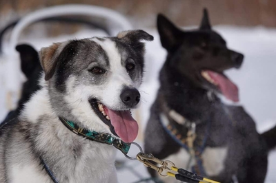 4EtunuNQwjhvj6etATsO.jpg?w=940&h=940