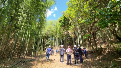 ▲竹林での活動イメージ