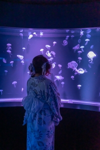 4FAkD3GpRsuajWPnMxwg.jpg?w=940&h=940