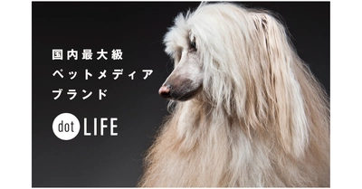 犬種特化型ペット専門メディア「dotLIFE」がブランドサイトをリニューアル！月間1,500万PVを突破