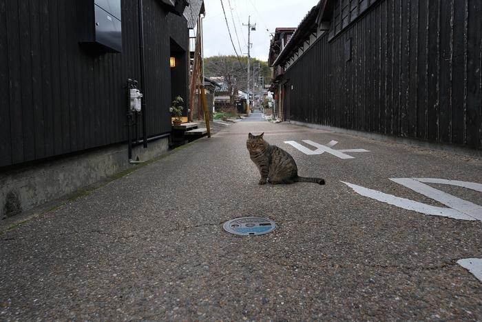 津山市城東地区風景(3)