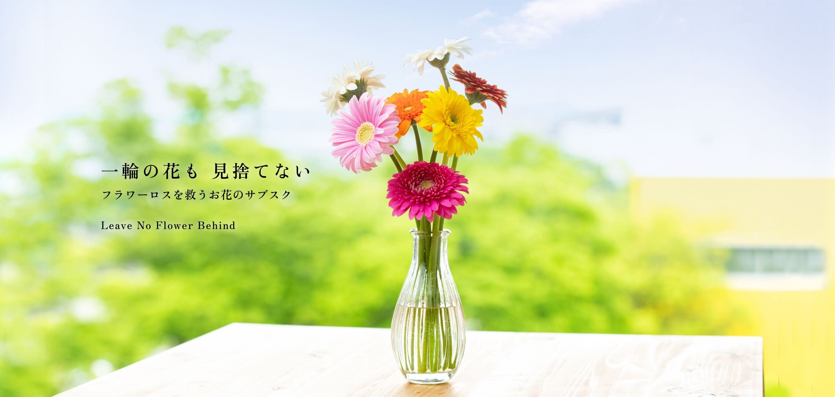 フラワー（その他の方のご購入はご遠慮くださいませ） qbc001-3.jpg