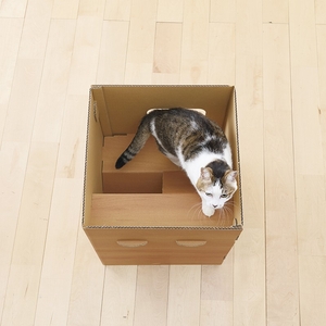 4HkhCqgn7Wse1bHVZ0sk.jpg?w=940&h=940