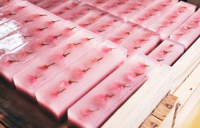 4HtSTuNXV45xyB1GTSmg.jpg?w=940&h=940