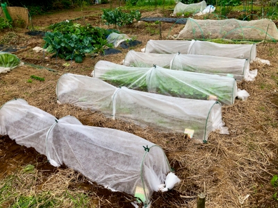 4IAWC7EebCNvhWo9r9Td.jpg?w=940&h=940