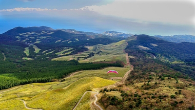 東京ドーム26個分の草原が天城山の斜面に広がる細野高原