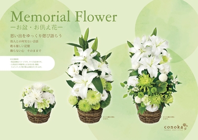 4IqiszaZQZDiji0J2X87.jpg?w=940&h=940