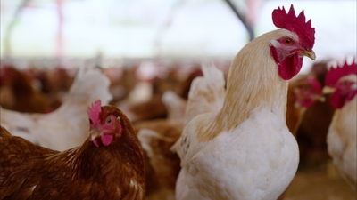 4IsEQOZHAup2MrY2hUlu.jpeg?w=940&h=940