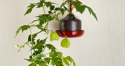 4Iv12zXYsd1ryHNpPwDq.jpg?w=940&h=940