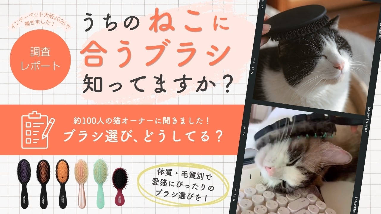 【hugmuk(ハグムク）調べ】猫のブラッシングに「正解」はあった。千差万別の毛質に合わせる、愛猫のための 「パーソナライズ・ブラッシング」 