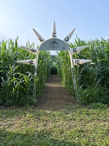 4KqGFAjYAtiieLqo2At1.jpg?w=940&h=940