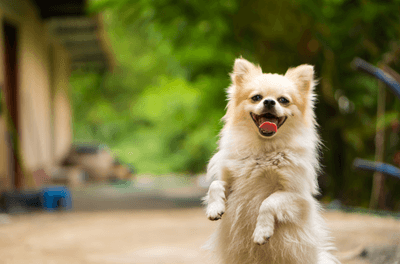 4L6JBQe1jenfWYsv4yAW.png?w=940&h=940