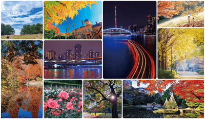 過去の入賞作品および、施設紹介写真