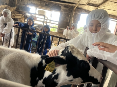 4MFLdJedNsB0679ywlpU.jpeg?w=940&h=940