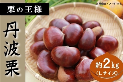 4MJVnrmQPZXMcZxf3IUu.jpg?w=940&h=940