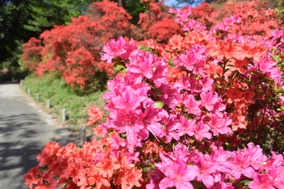 4MkjOPobWfhq3y8zjuDb.jpg?w=940&h=940