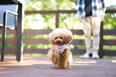 4MoCAwkdyru3taxdATmn.jpg?w=940&h=940