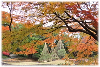 紅葉期の園内（昨年の様子）