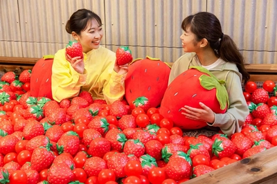 4MzQKlbDwJ7GkNUPVuHt.jpg?w=940&h=940