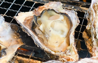 4NPMDeUGzTBcMuzdsh7V.jpg?w=940&h=940