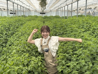 4OE52OLJuolnPegOgbQy.jpg?w=940&h=940