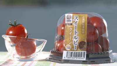 4OTNMIWfppcrbjywujZ1.png?w=940&h=940