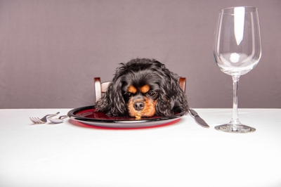 4OUcNXk2NT2IEHMLvpWB.jpeg?w=940&h=940