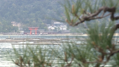 4PYeQAWRJk4nJc9Jt9Vr.jpg?w=940&h=940