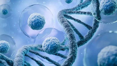 日本の細胞・遺伝子治療市場は2033年までに20億1600万米ドルに達し、年平均成長率12%で成長すると予想されている。