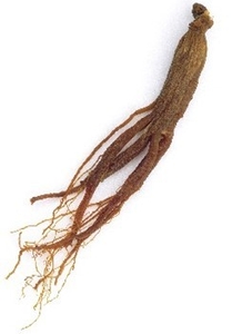 4SwXWbmGlSPAsEv7q3lj.jpg?w=940&h=940