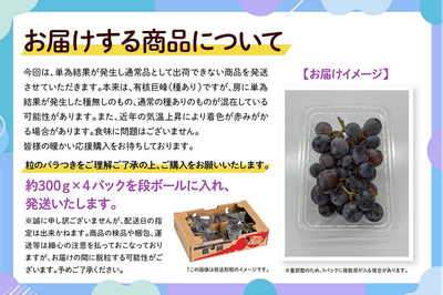 お届けする商品について