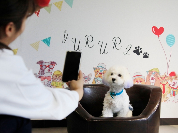 フォトスポット