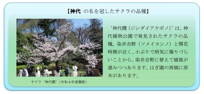 4UZ9WjHpdPkSNlO6nIy5.jpg?w=940&h=940