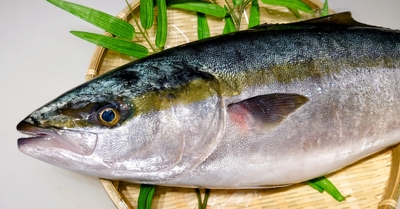 4VFUeVFgQplt1OpDPaaC.jpg?w=940&h=940