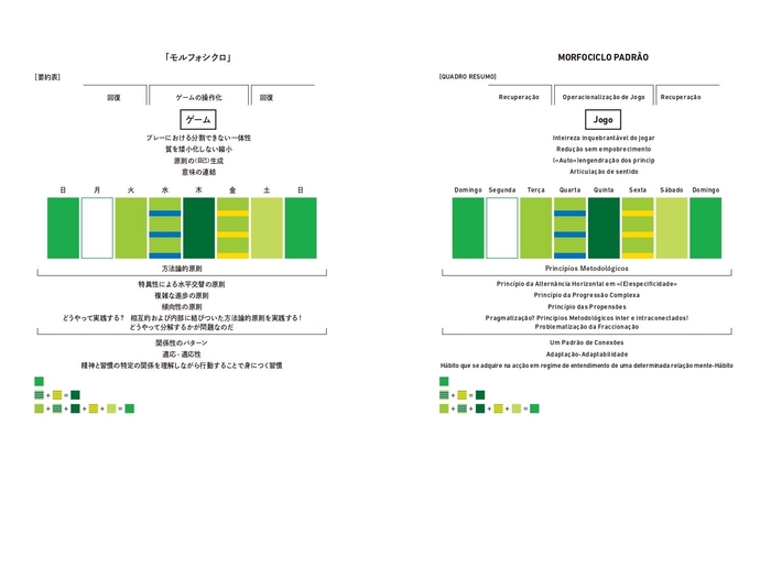 「モルフォシクロ」
