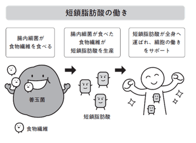 4WtJrSlXowSdAoEL912j.png?w=940&h=940