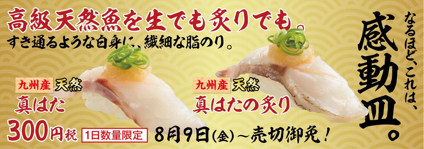 夏の今が旬の高級魚！九州産天然真はたがスシローに登場！ 『真はた