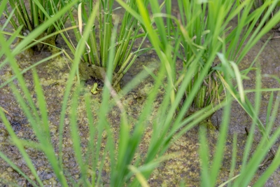 4YqDnpyE1c82sodJVaHj.jpg?w=940&h=940