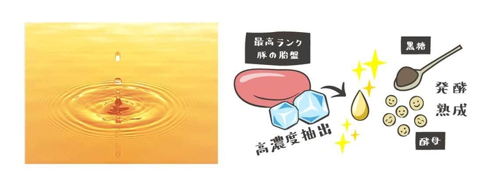 いつものキレイと健康を意識される方に　発酵熟成プラセンタ